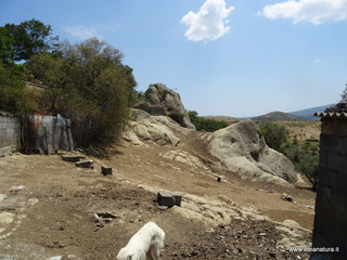 Palmento Roccella